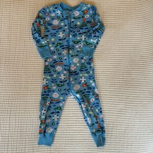 Hanna Andersson Blue Floral Pajamas